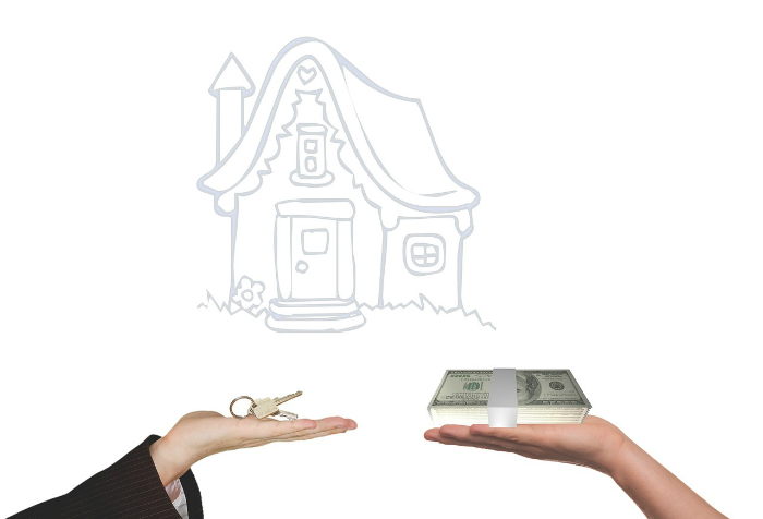 bed bugs in my apartment building