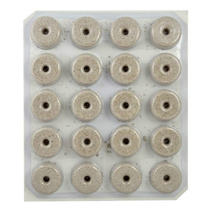 How to Keep Mosquitoes Out of Water Fountains Safely