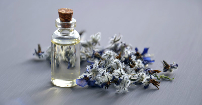 strong home remedies for fleas