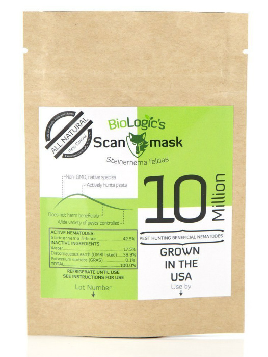 Using Nematodes to Kill Fleas Complete Guide and