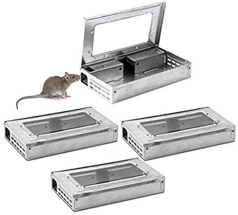 Where to Buy Humane Mouse Traps? Here are 5 Best Picks!