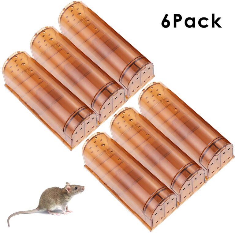 Where to Buy Humane Mouse Traps? Here are 5 Best Picks!