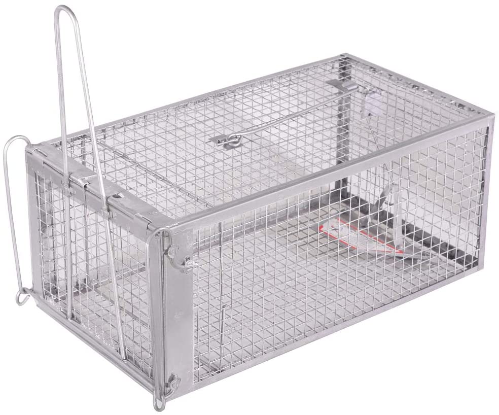 Where to Buy Humane Mouse Traps? Here are 5 Best Picks!