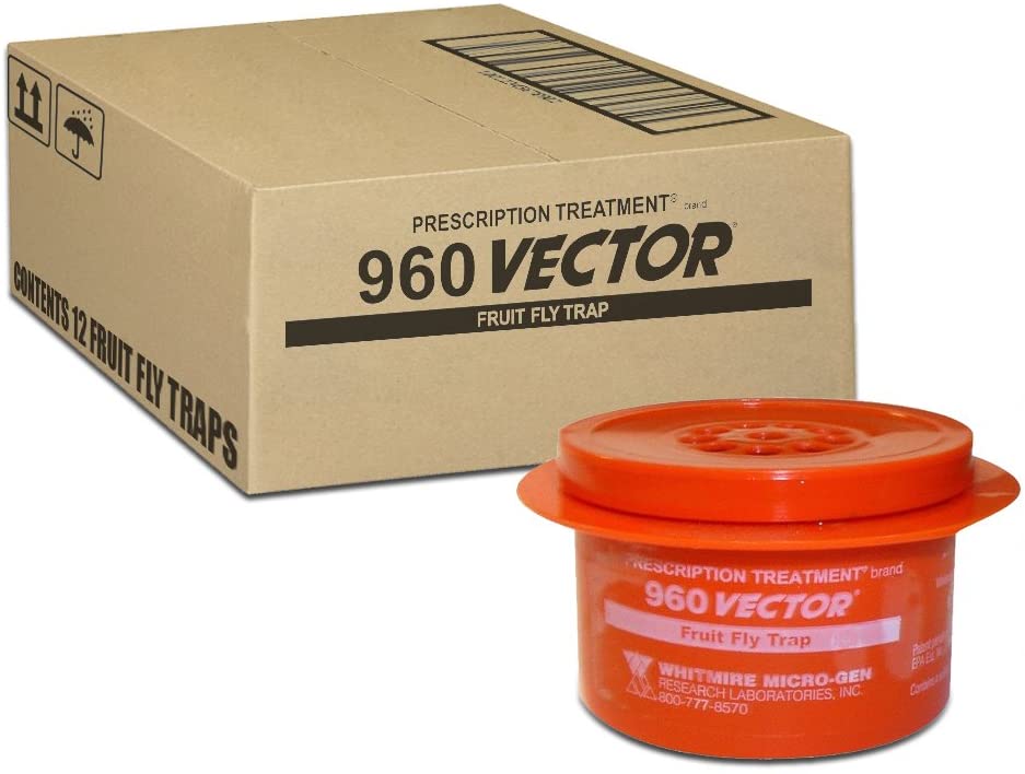 How To Use 960 Vector Fruit Fly Trap? A Complete Guide